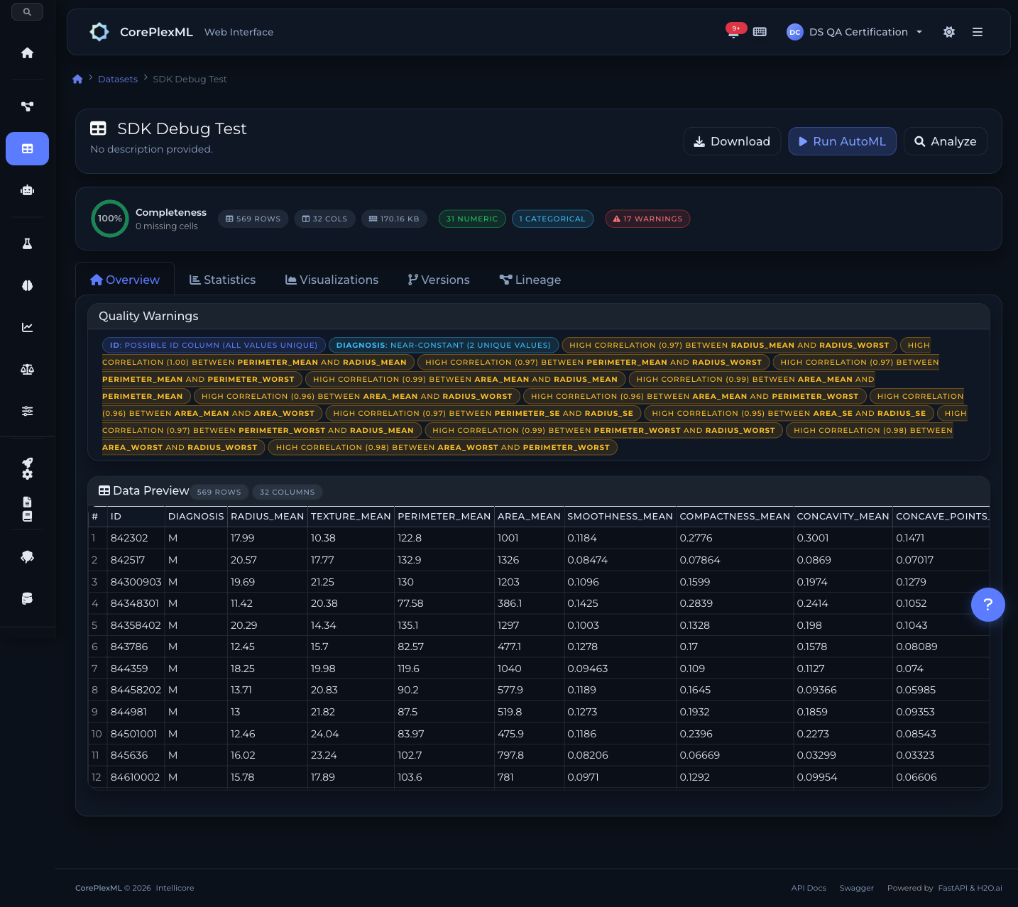Dataset overview with column statistics and data profiling